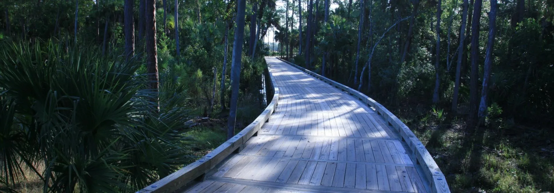 Boardwalk through the native preserve at TPC Treviso Bay, Naples.