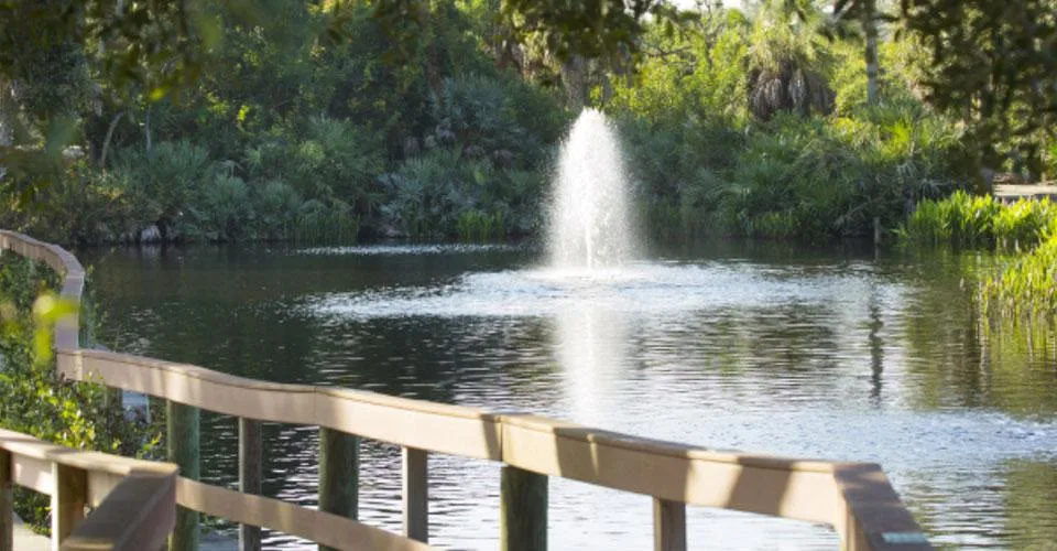 Pelican Landing boardwalk, pond and fountain