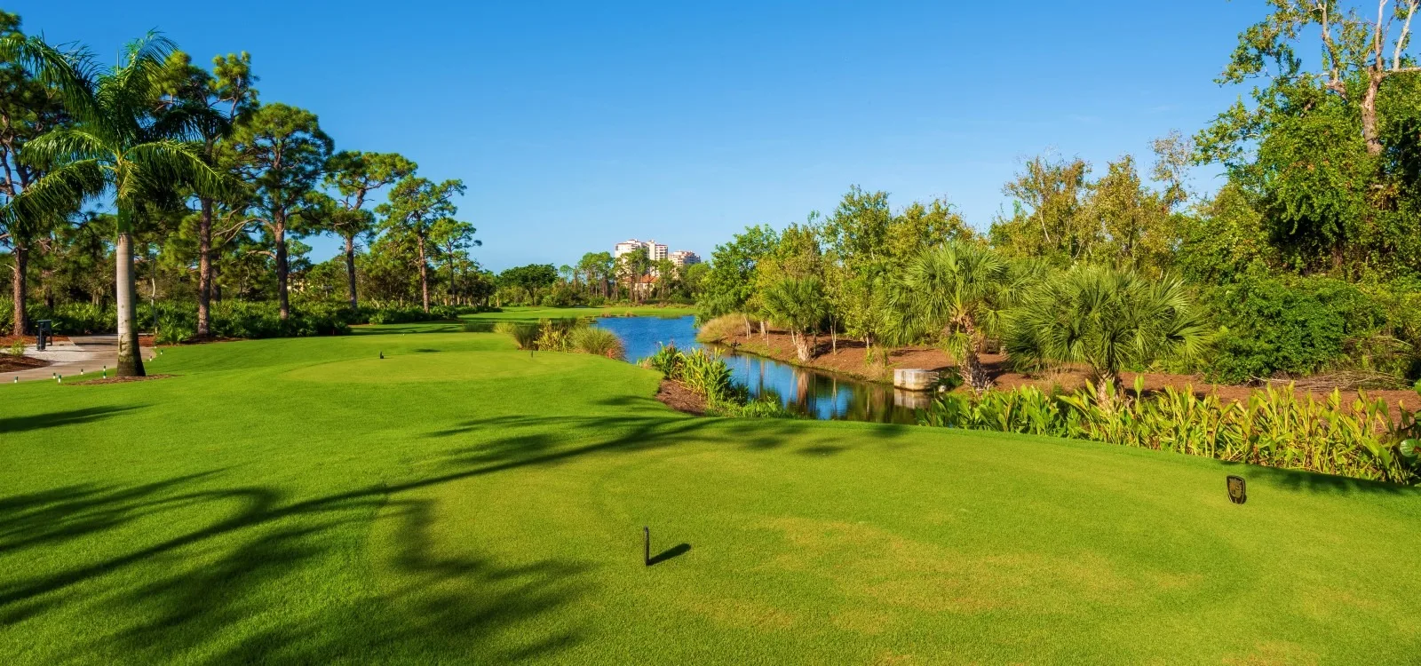 Fairway and preserve landscape at The Colony Golf and Country Club (official).