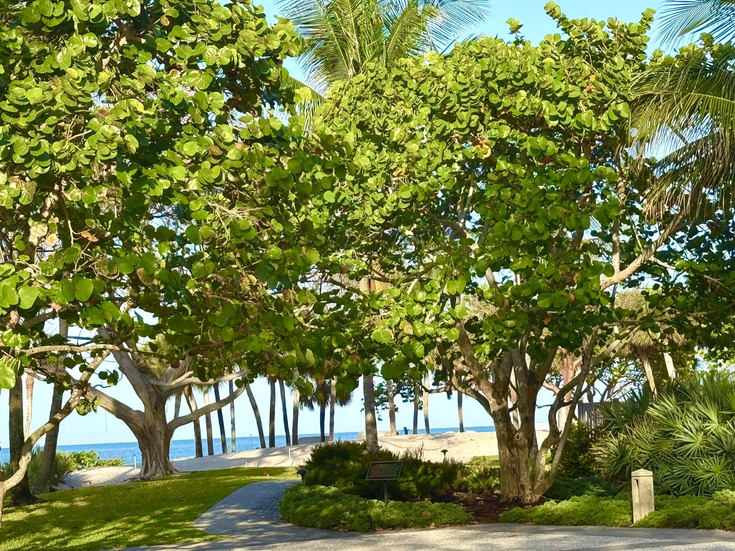 Raymond L. Lutgert Beach Park at Park Shore (official association Beach Park Photos).