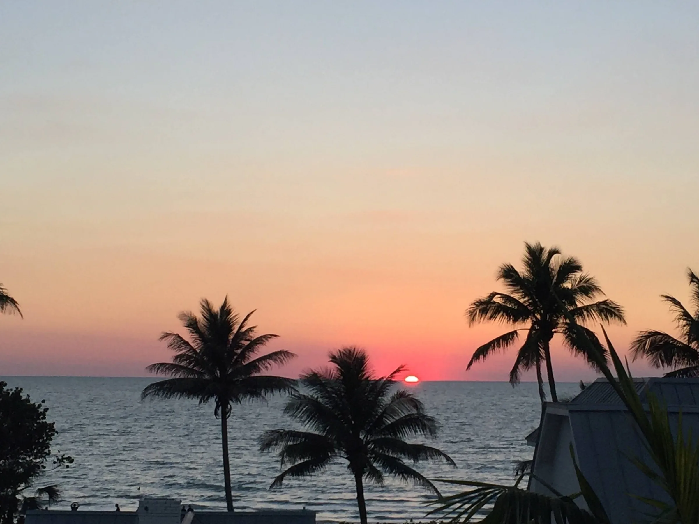 Gulf sunset with palms, Aqualane Shores neighborhood, Naples (official association).