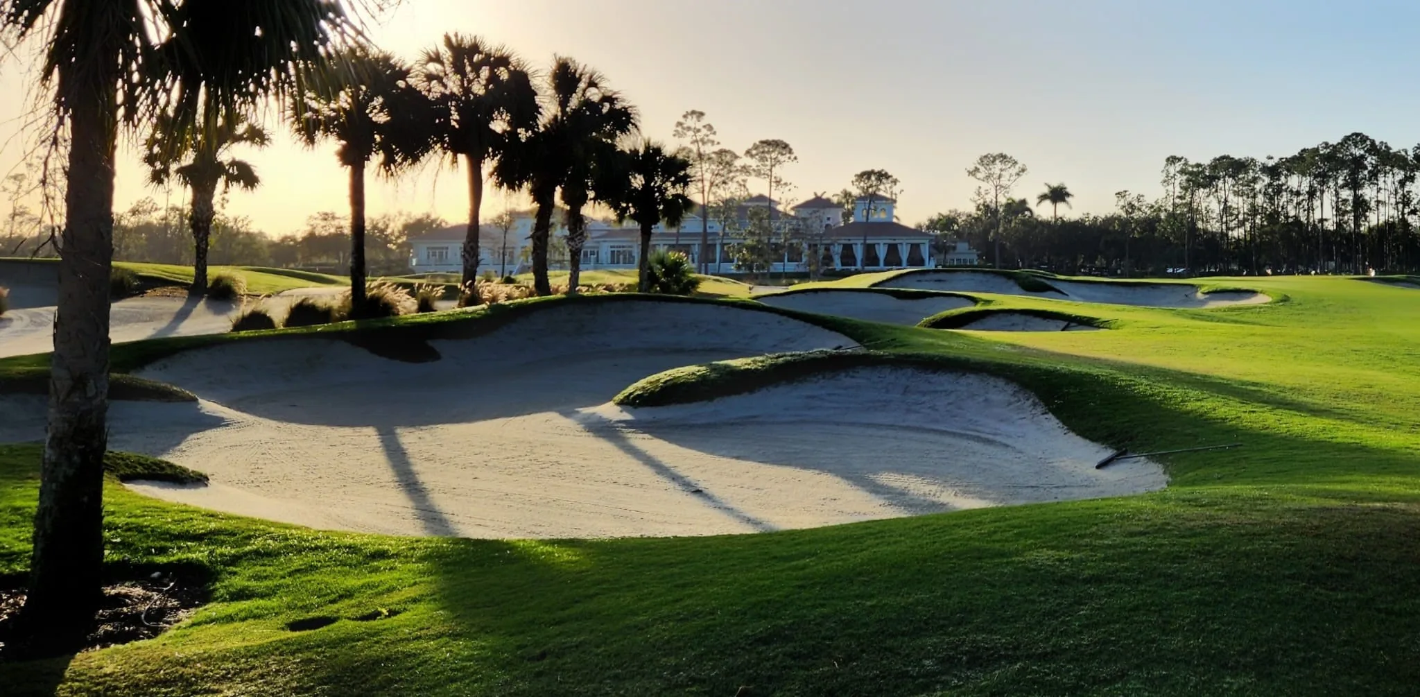 Fairway bunkers and palms on a Mediterra golf course, Naples.