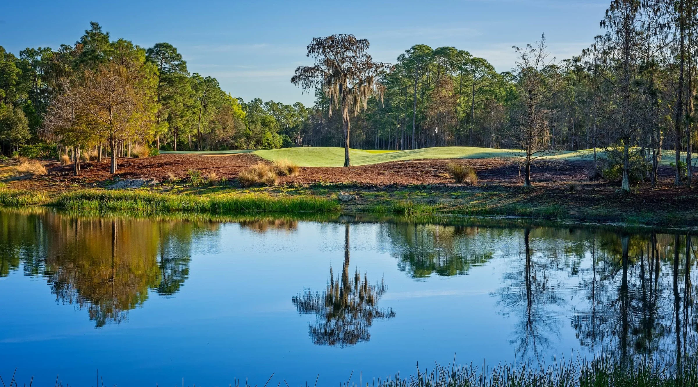 Tiburon Golf Club marketing imagery (official).