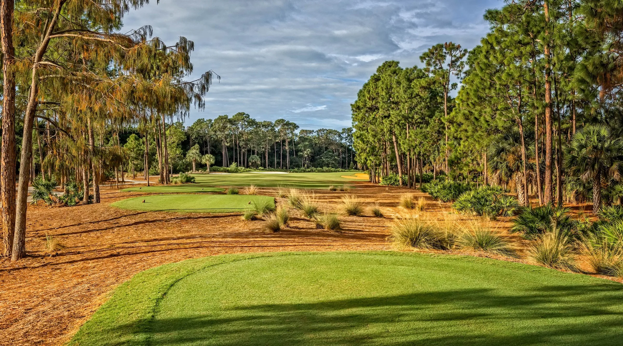 Clubhouse / amenity at Tiburon (official).