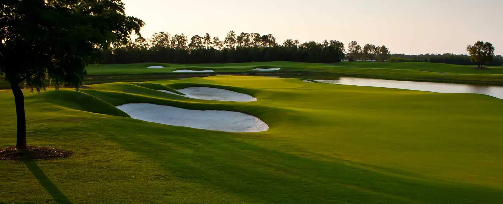 Oak-lined golf hole at Talis Park Golf Club, Naples.