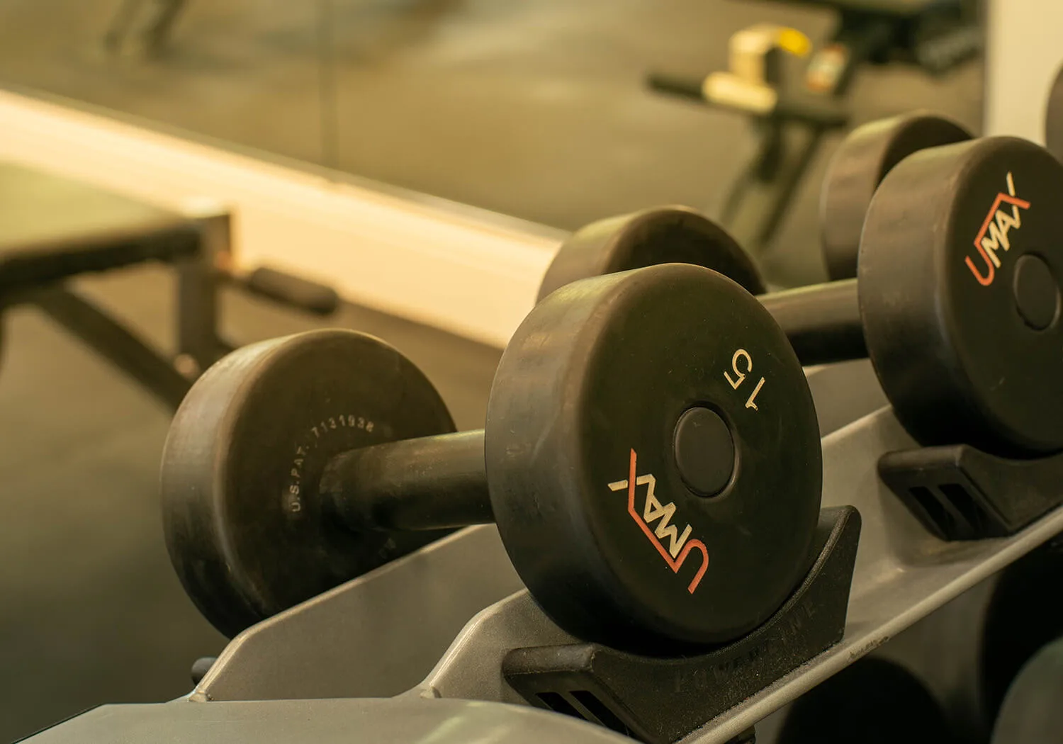 Fitness center free weights at The Quarry (official club site).