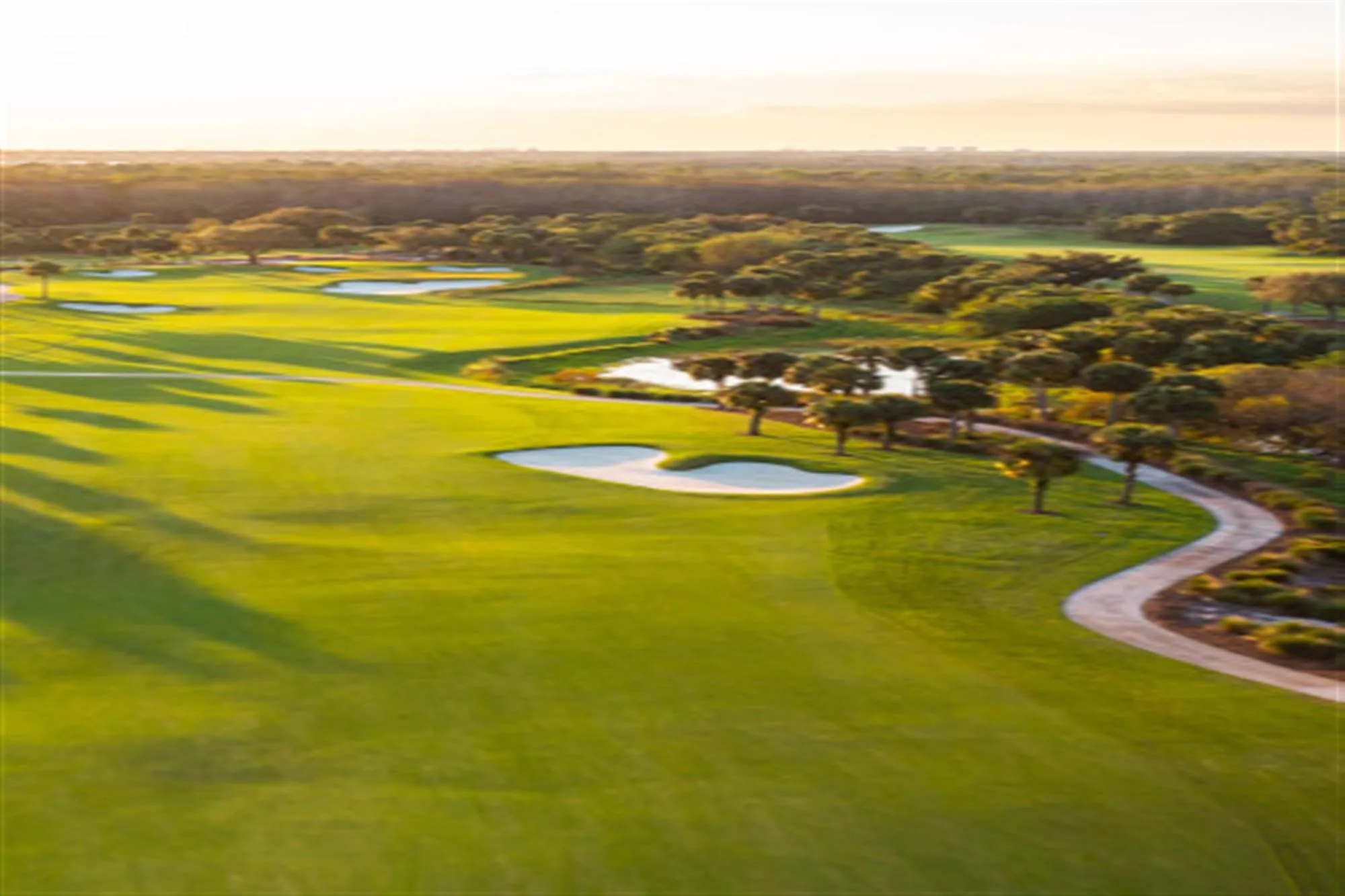 Fairway bunkers palms and cart path at TwinEagles Club (official ClubEssential site).