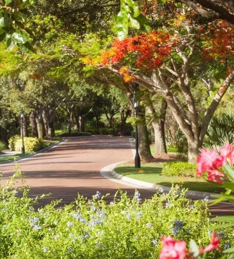 Bay Colony community setting (official Our Community page).