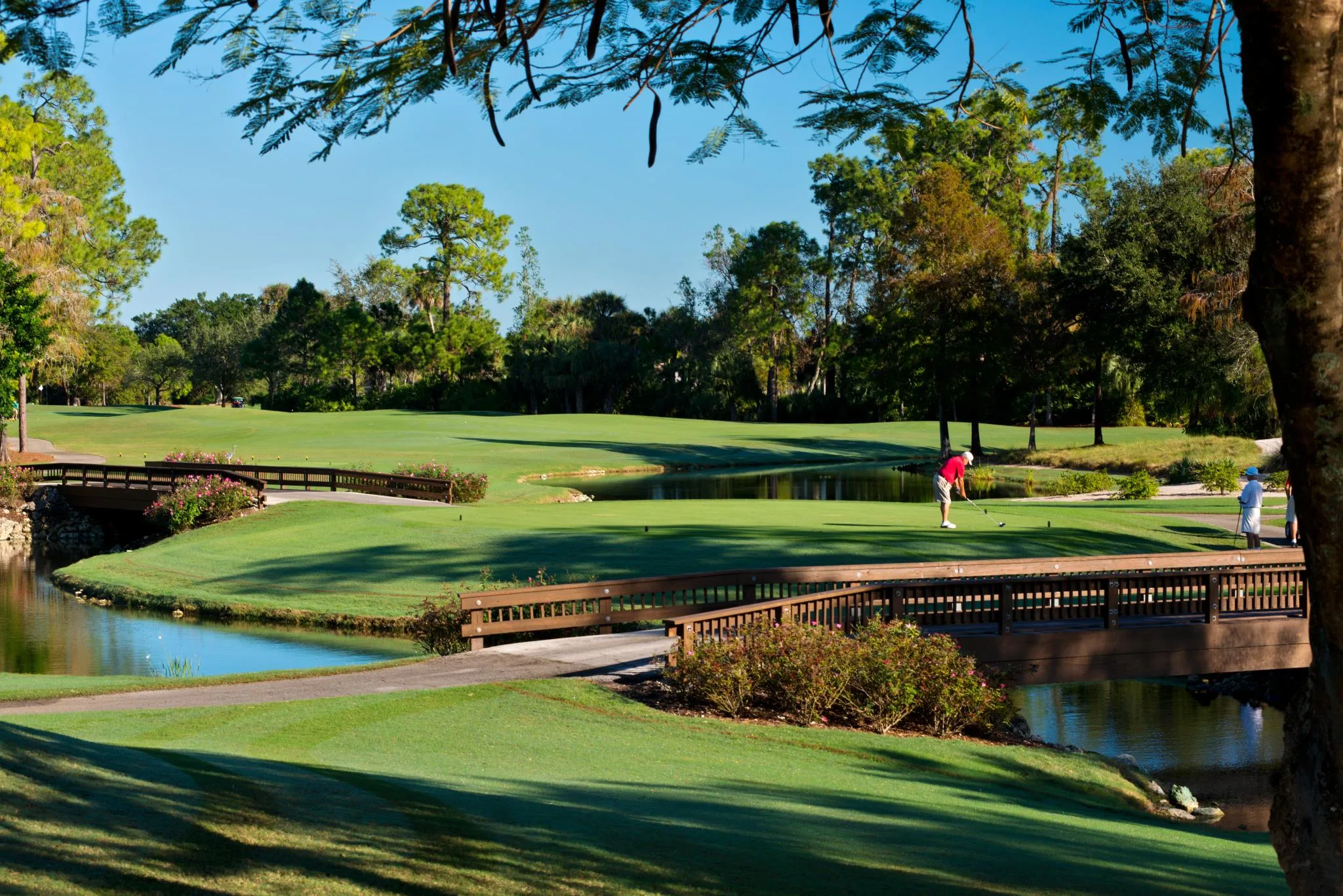 Golf green and flowering tree at Wyndemere Country Club (official).