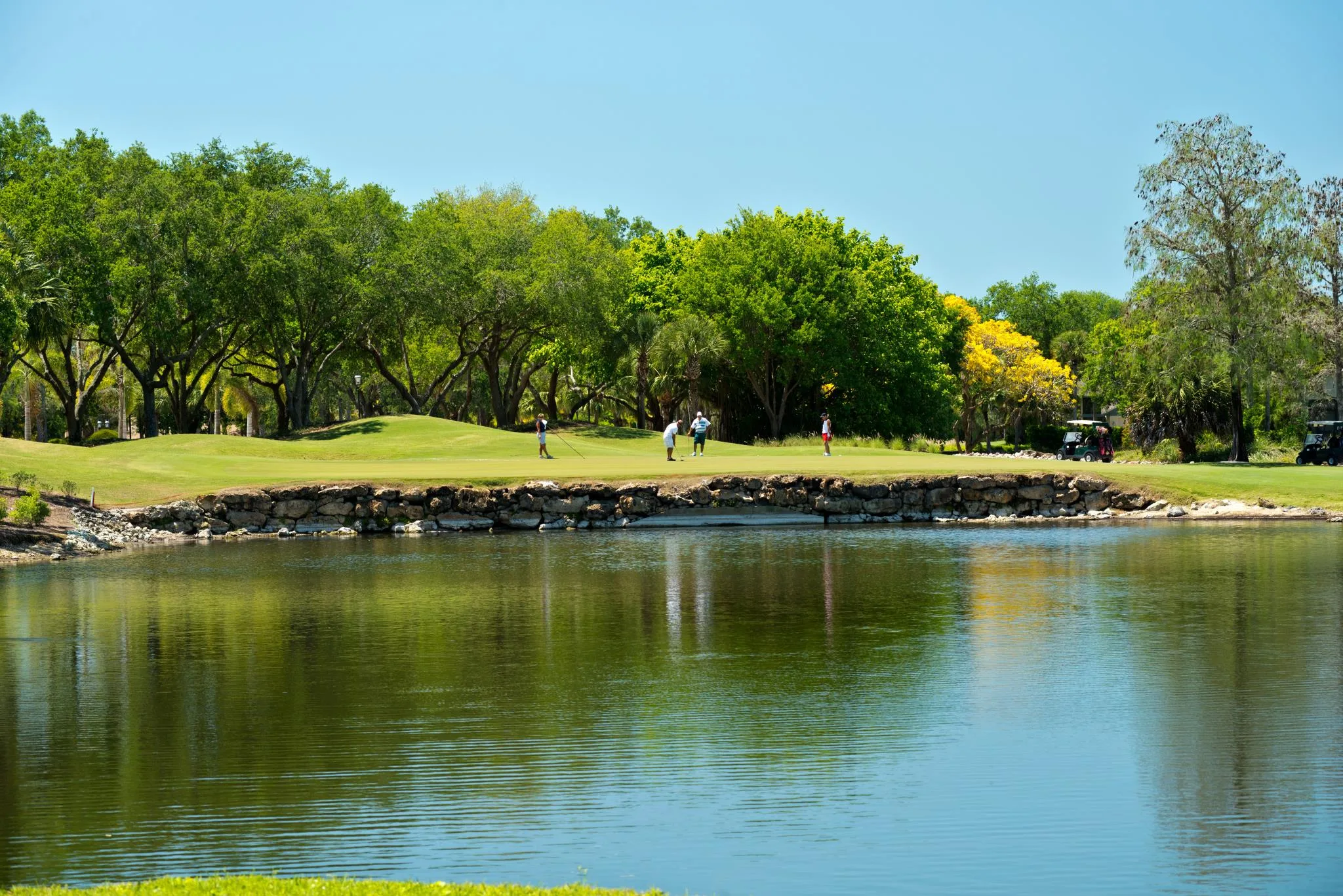 Golf green across the water at Wyndemere Country Club (official club site).