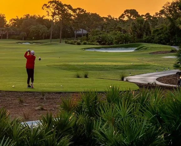 Collier's Reserve amenities