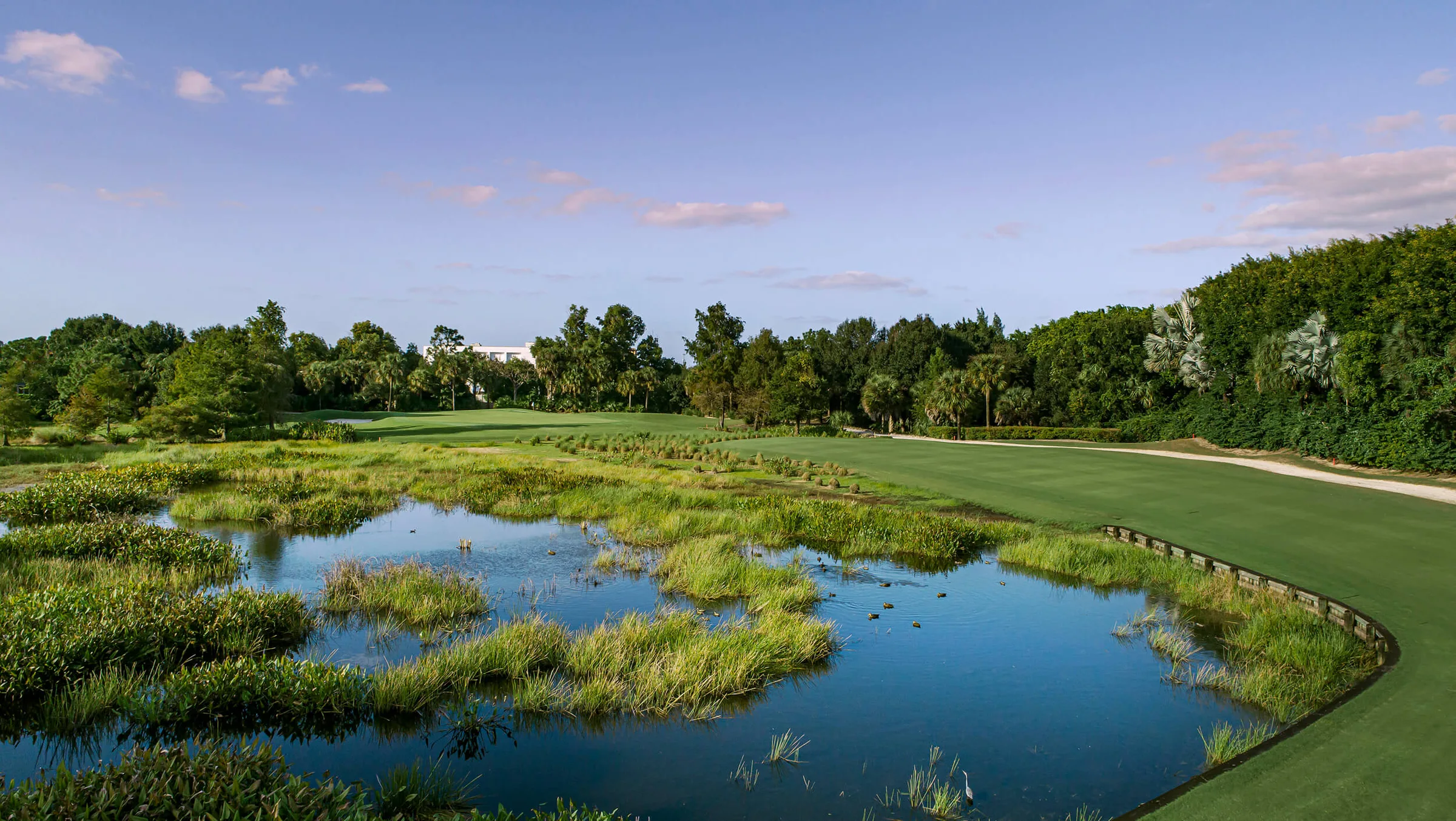 Wetland preserve along the golf course at Audubon Country Club, Naples.