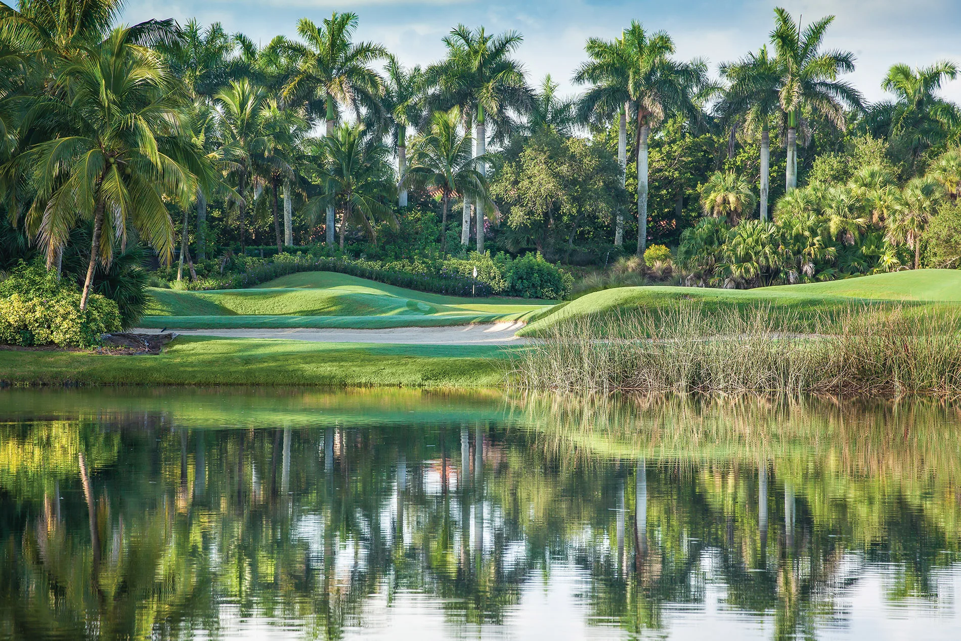 Palm-lined third hole reflected in the water, Fiddler's Creek golf course, Naples.