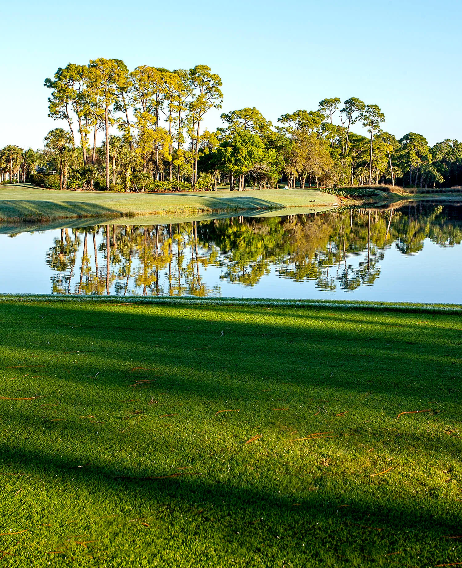 Lakeside golf green at Stonebridge Country Club (official club site).