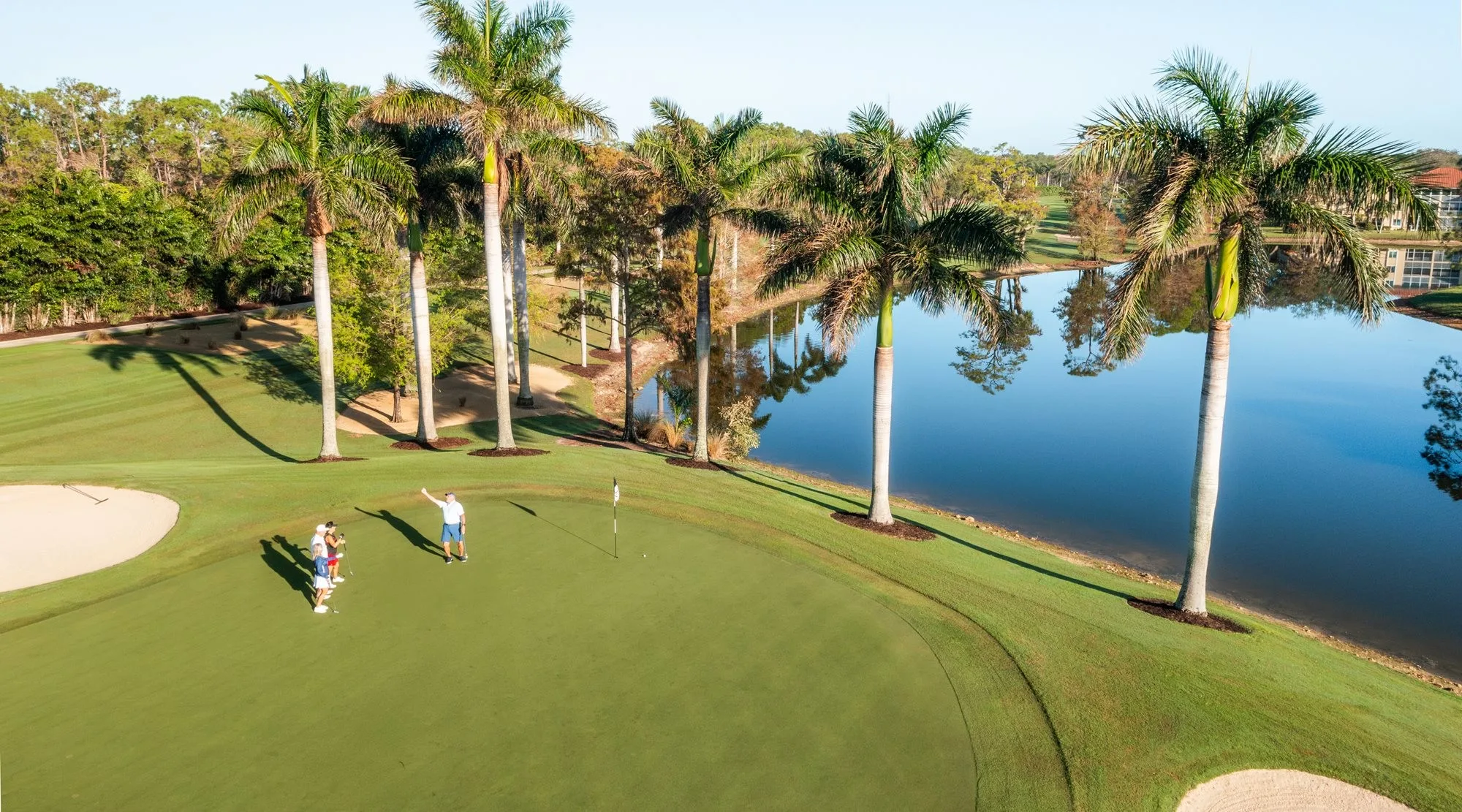 Aerial putting green palms and lake at Royal Wood Golf and Country Club (official).