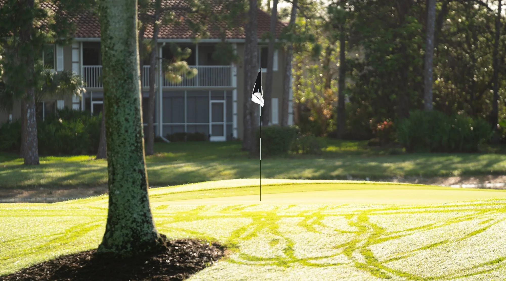 Tee box and course landscape at Royal Wood Golf and Country Club (official).