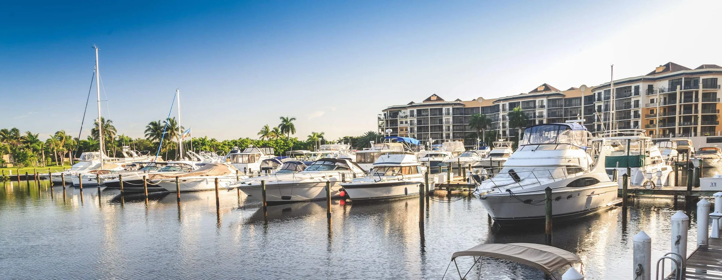 Cape Harbour