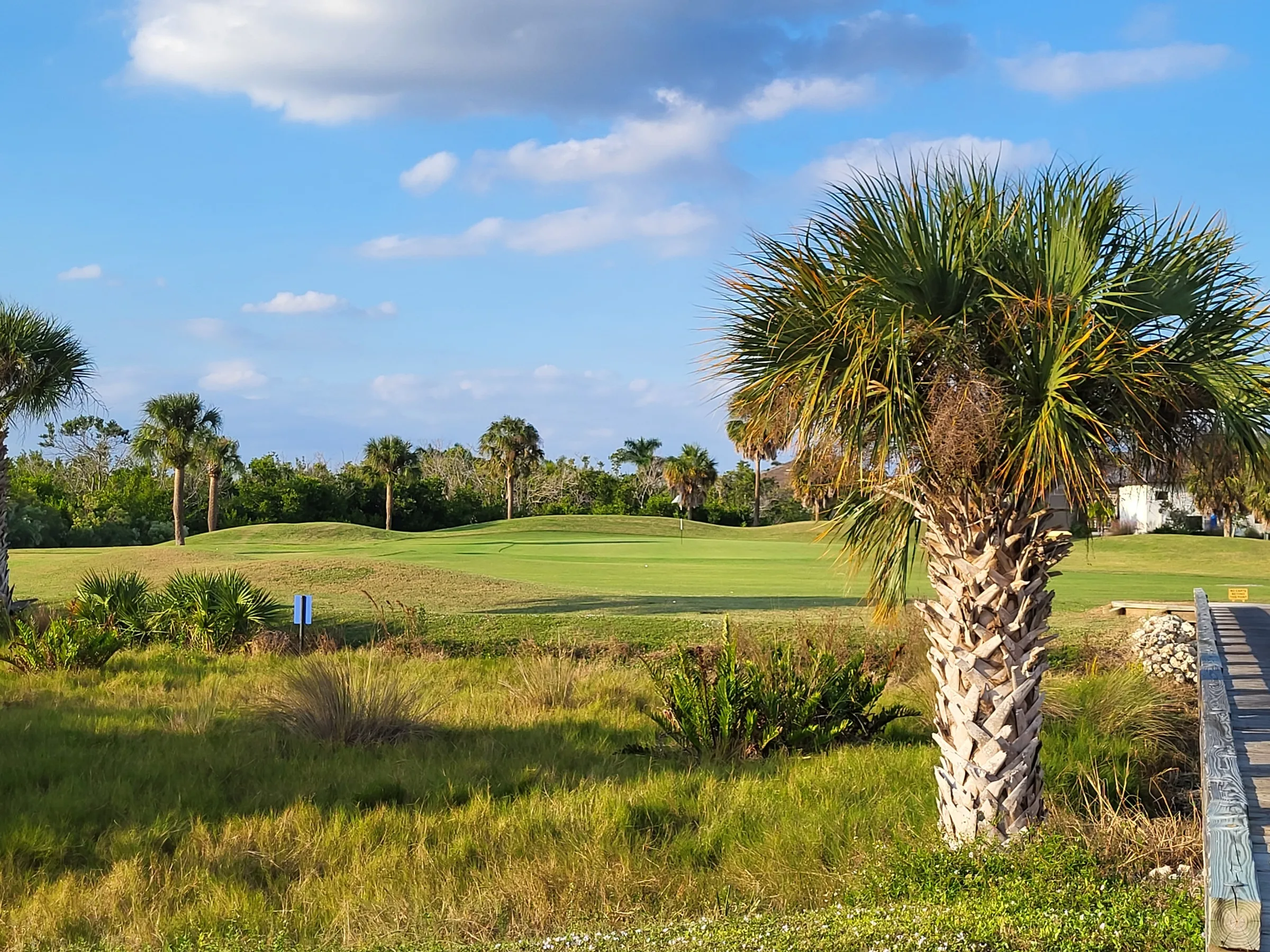 Palm-lined green at Cape Royal Golf Club, Cape Coral (official club site).