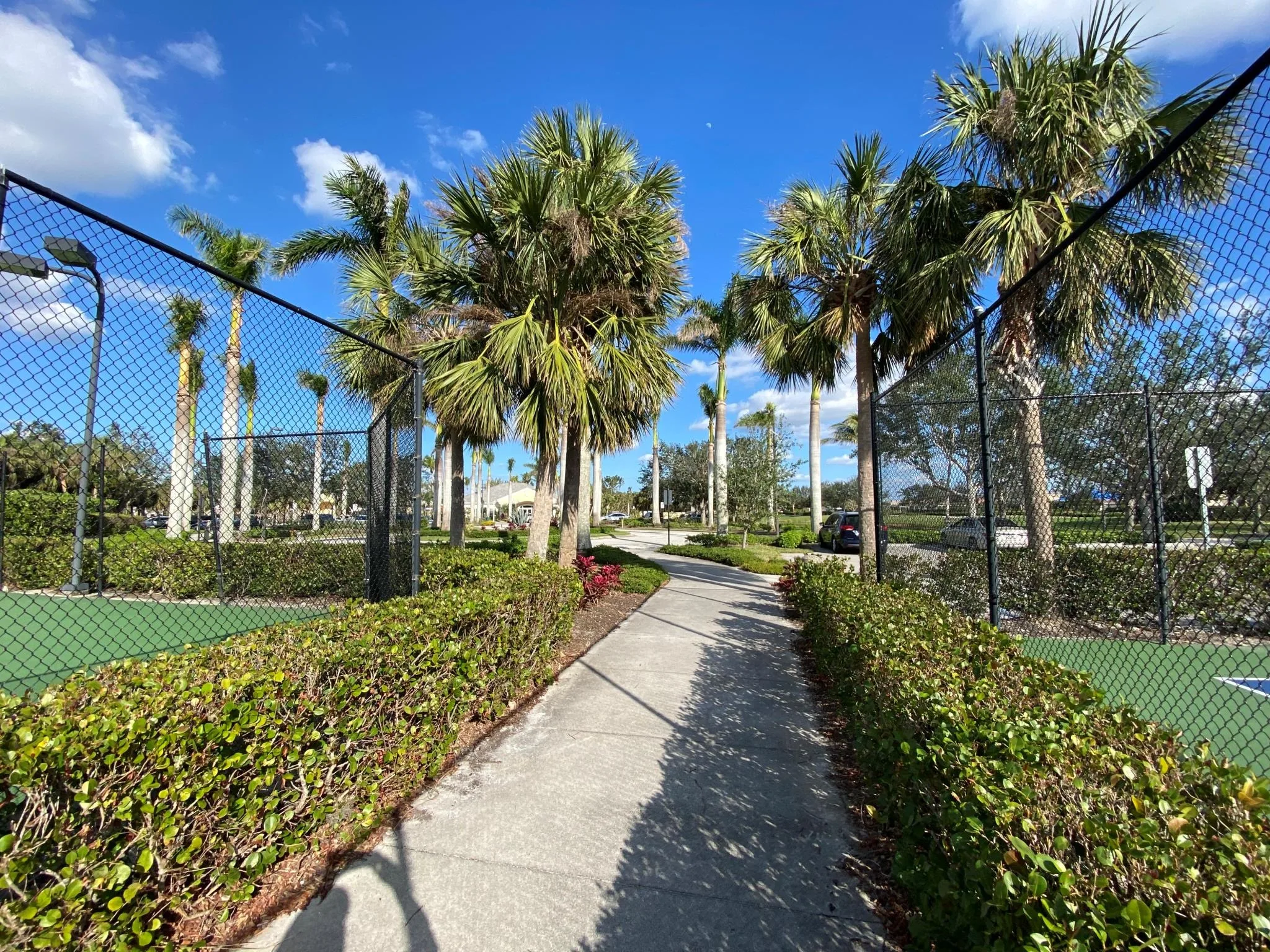 Palm-lined path to the pickleball courts at Sandoval, Cape Coral (official community site).