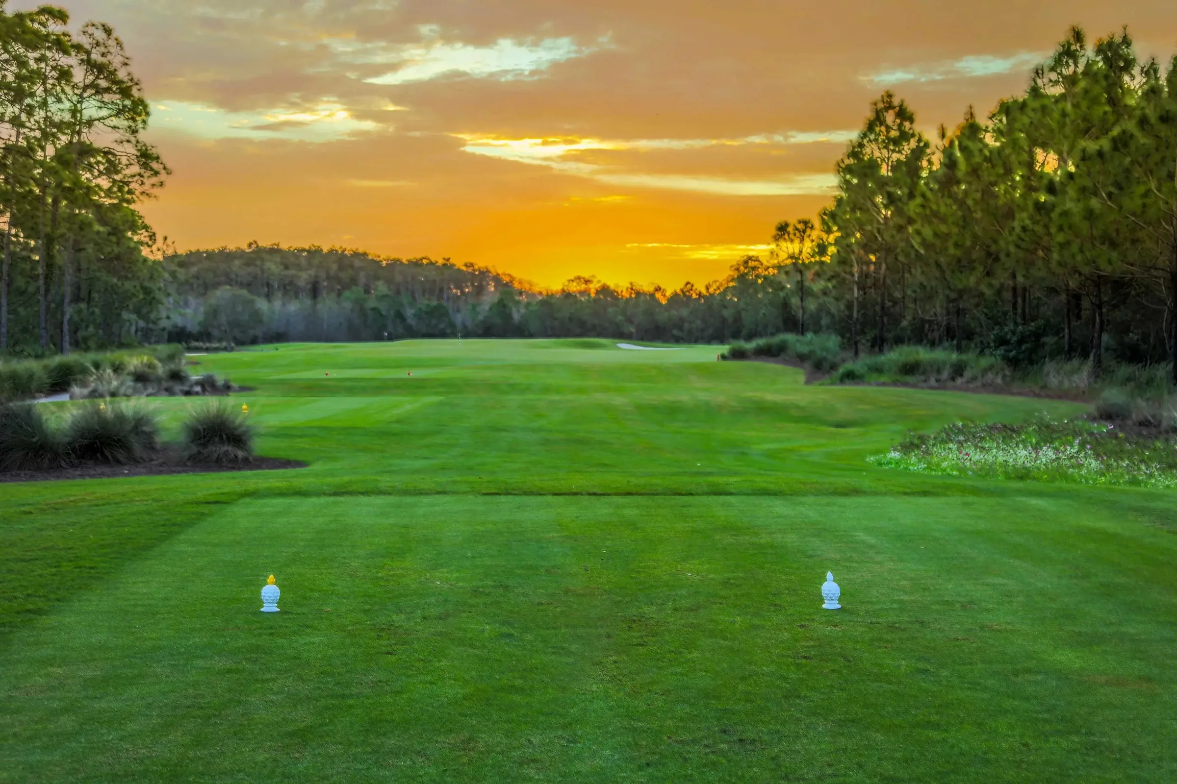 Golf fairway at sunrise, The Plantation Golf and Country Club, Fort Myers (official club site).
