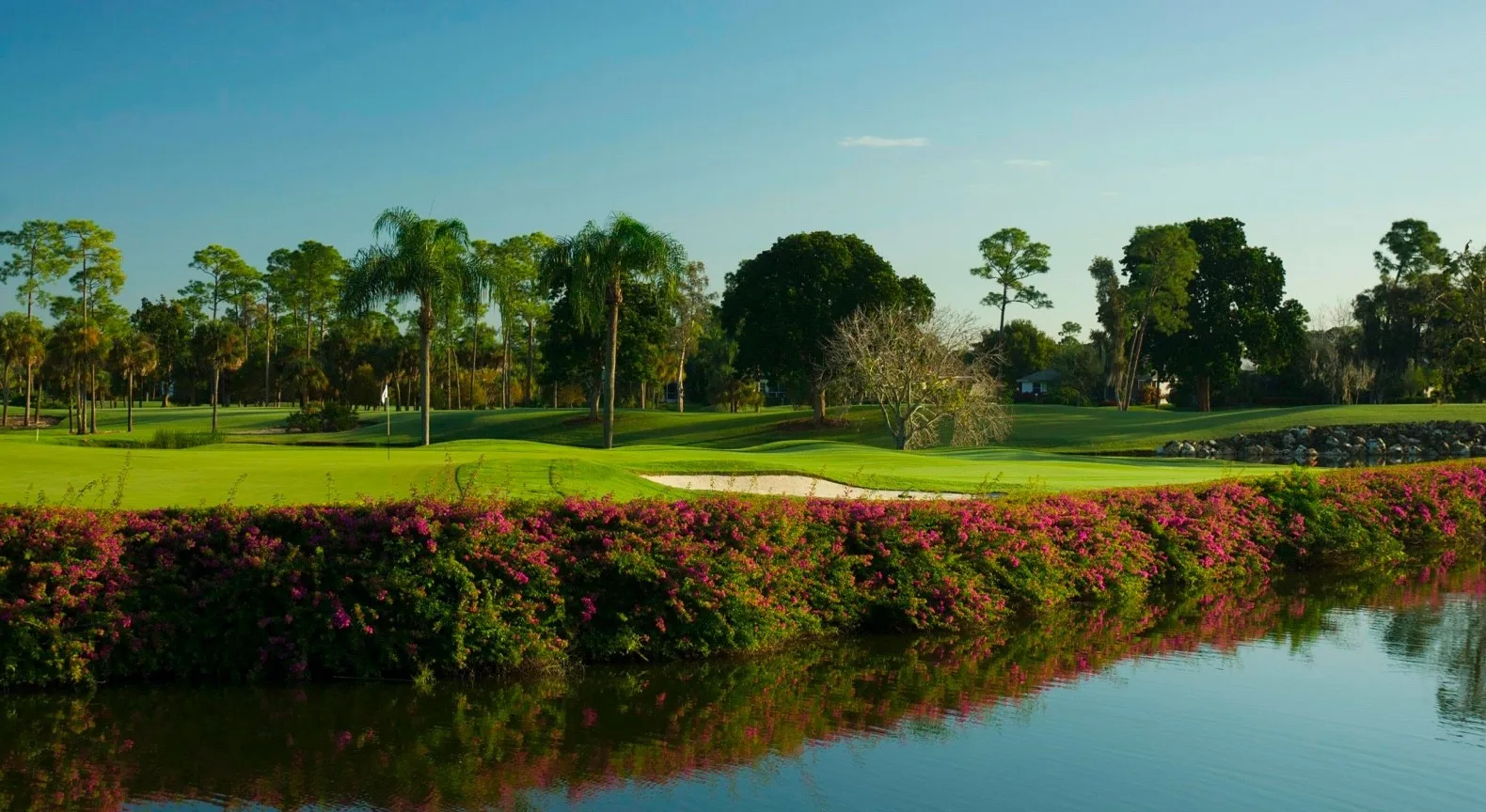 Golf green bunkers palms and bougainvillea at The Forest Country Club, Fort Myers (official).