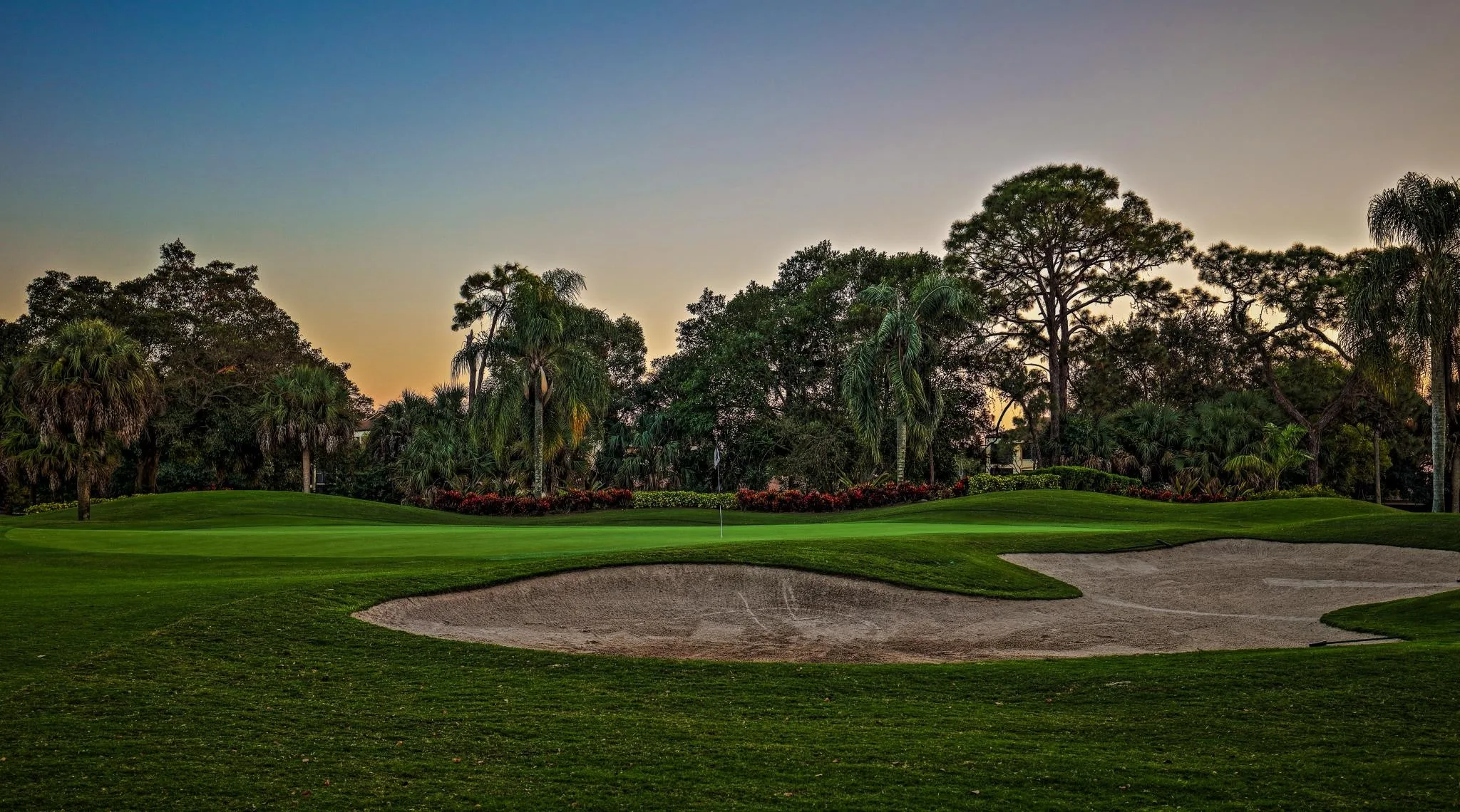 Putting green bunker and palms at sunrise at The Forest Country Club (official).