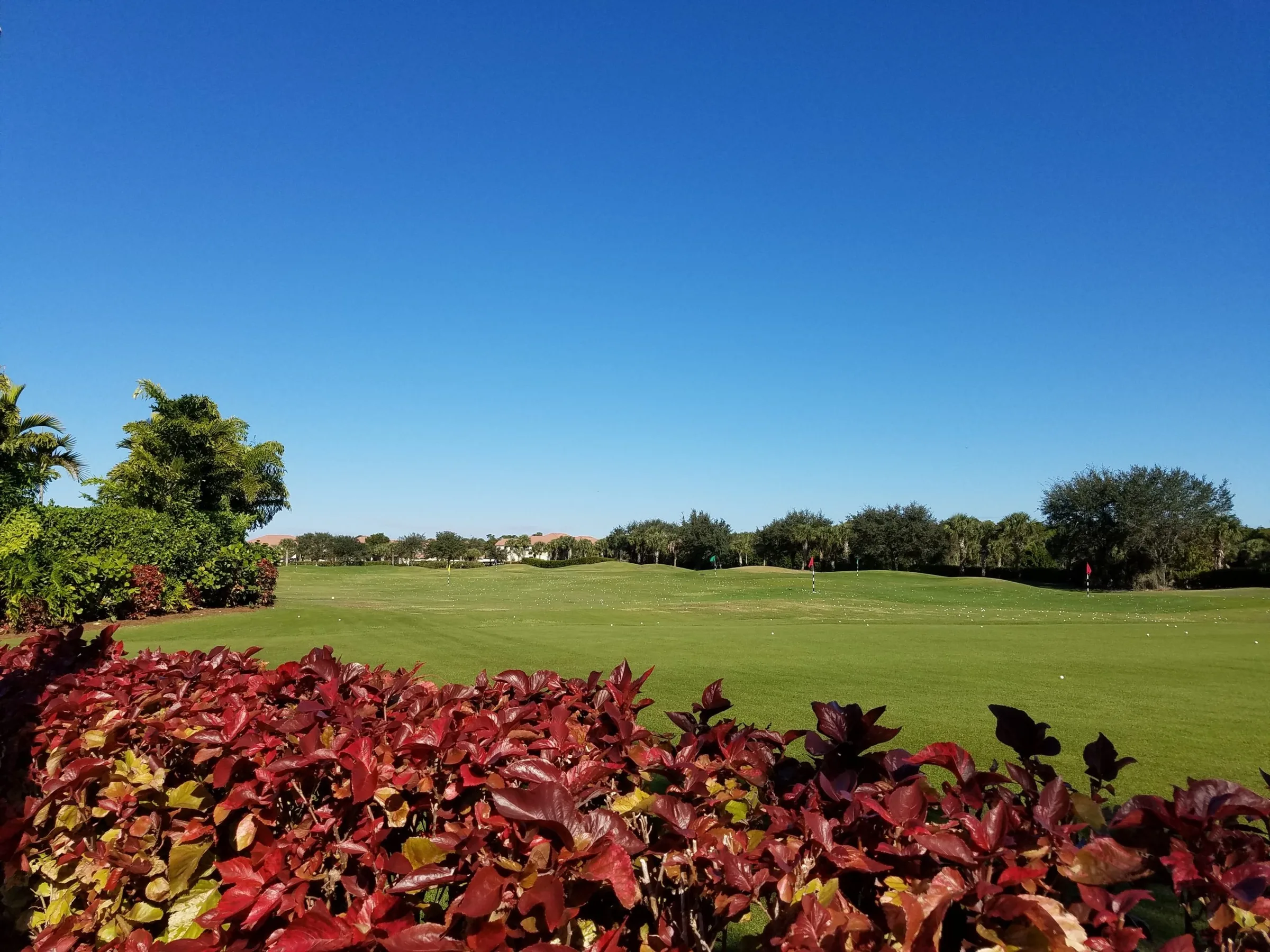 Chipping green bordered by tropical plantings at Crown Colony, Fort Myers (official community and club sites).