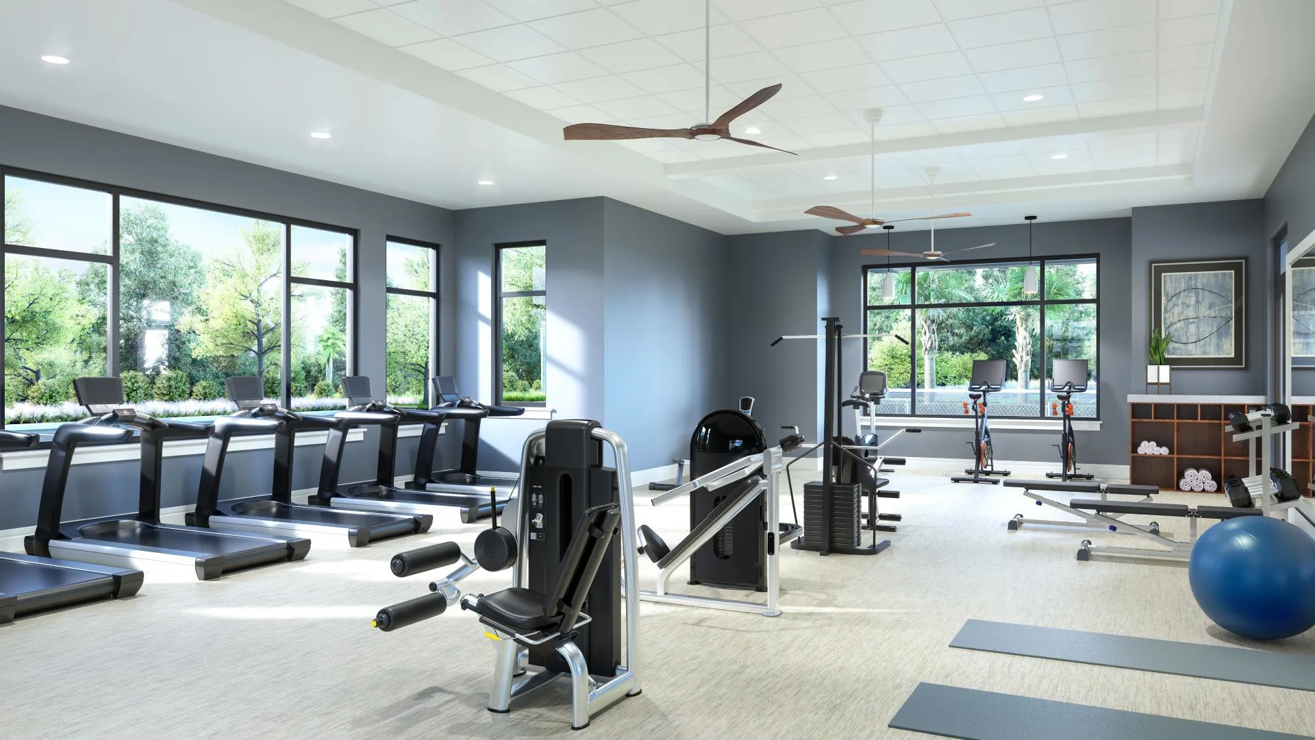 Meridian amenity center fitness studio